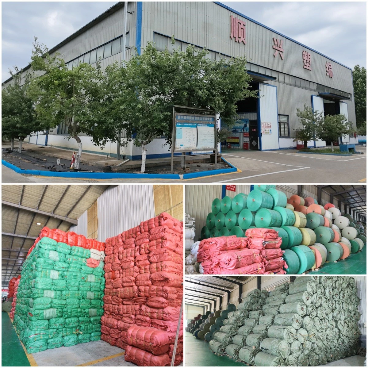 product-1200-1200